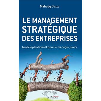 Le management stratégique des entreprises