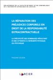 La réparation des préjudices corporels en droit de la responsabilité extracontractuelle - La spécifi