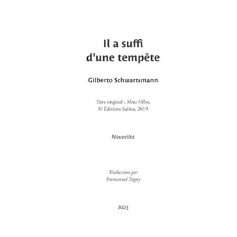 Il a suffi d'une tempête