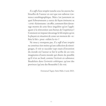 Il a suffi d'une tempête
