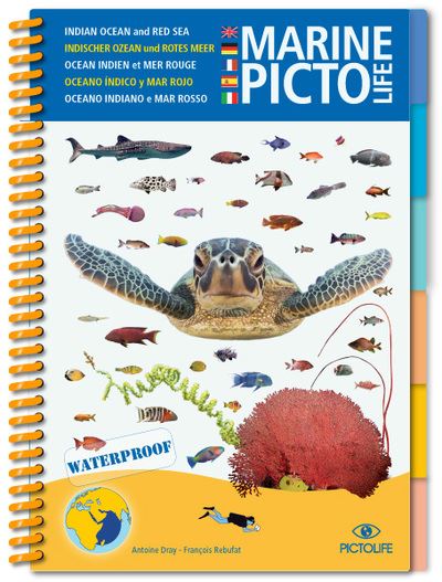 Marine Pictolife - Océan Indien et Mer Rouge