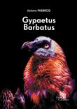 Gypaetus Barbatus