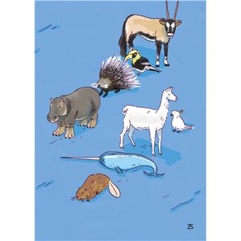 Mes premières lectures Montessori - La malle de Timéo