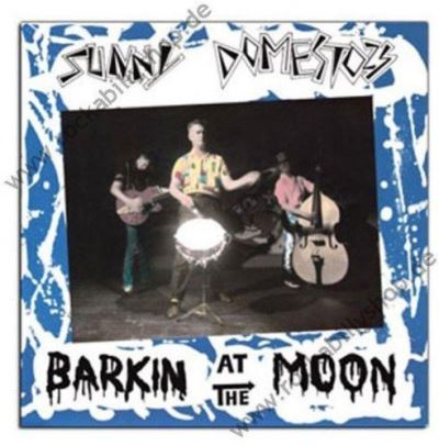 Barkin at the moon/picture
