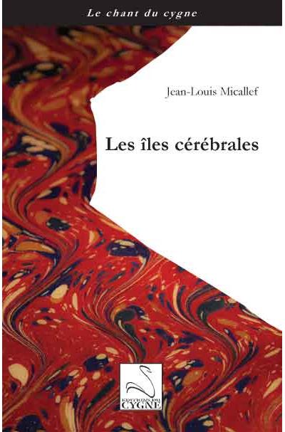 Les îles cérébrales