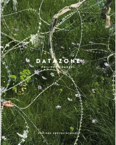 Datazone