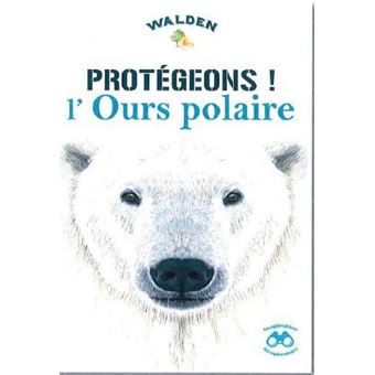 Protégeons l'ours polaire