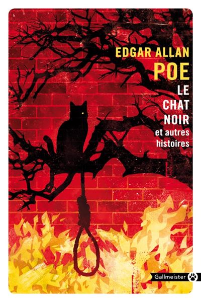 Le Chat Noir Et Autres Histoires Poche Edgar Allan Poe Achat Livre Ou Ebook Fnac