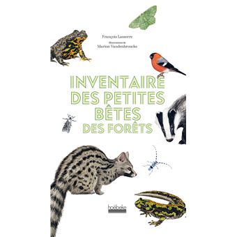 Inventaire des petites bêtes des forêts