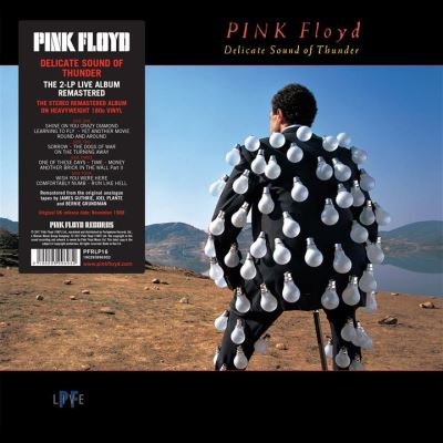 DELICATE SOUND OF THUNDER/2LP
