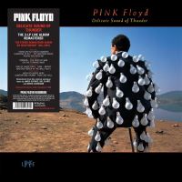 DELICATE SOUND OF THUNDER/2LP