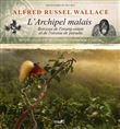 L'archipel malais - Berceau de l'orang-outan et de l'oiseau