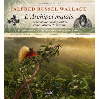 L'archipel malais - Berceau de l'orang-outan et de l'oiseau