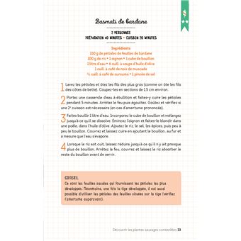 Découvrir les plantes sauvages comestibles