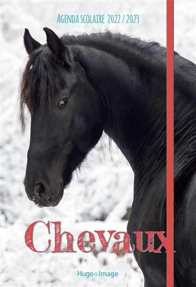 Agenda Scolaire chevaux 2022 - 2023 -  Collectif - (donnée non spécifiée)