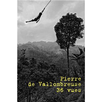 Pierre de Vallombreuse / 36 vues