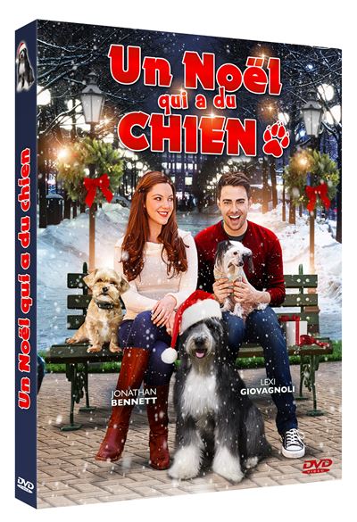 Noel qui a du chien