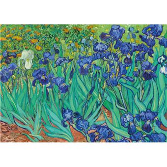 Fleurs. Coffret l'essentiel