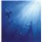 Lp-total life forever (azul)