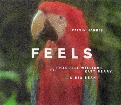 Feels Picture Disc