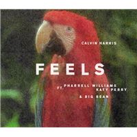 Feels Picture Disc