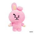 Peluche BTS Cooky