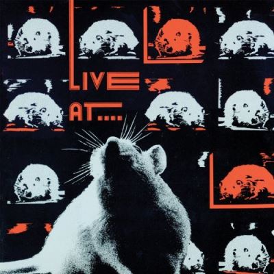 Live at the rat