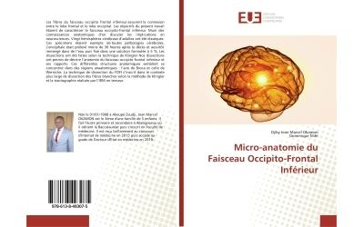 Micro-anatomie du Faisceau Occipito-Frontal Inférieur