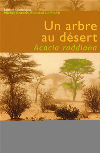 Un arbre au désert