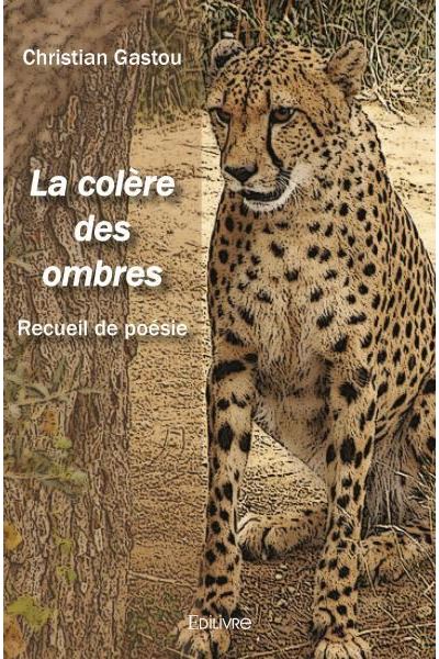La Colère des ombres