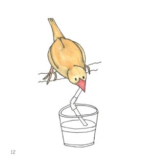 Pif, le petit oiseau