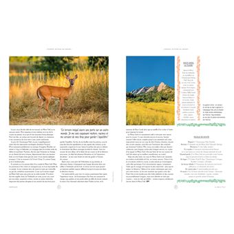 Courses autour du monde