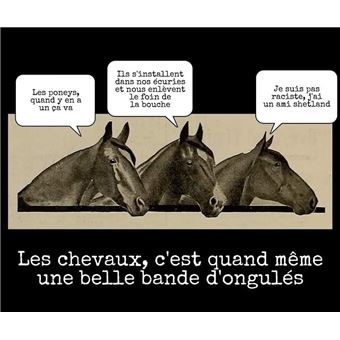 Dictionn'hair Alterna'tif