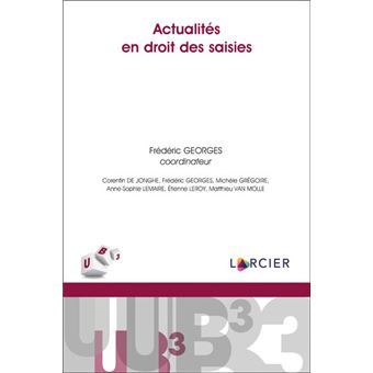 Actualités en droit des saisies