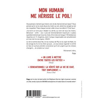 Chat suffit ! 153 lois de l'emmerdement maximum du chat