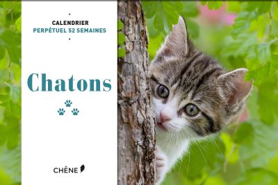 Calendrier perpétuel 52 semaines Chatons