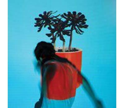 Sunlit youth/remasterise