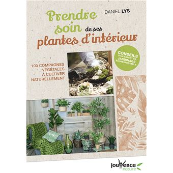 Prendre soin de ses plantes d'intérieur