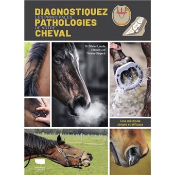 Diagnostiquer les principales pathologies de votre cheval