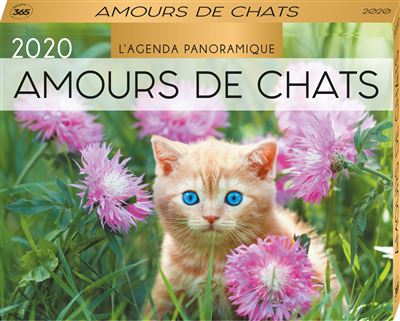 Agenda panoramique Amours de chats 2020