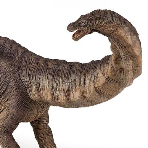 Figurine Papo Apatosaure – Dinosaure Sauropode Herbivore Détaillé | Figurine Collection Jouet Enfant 36 Mois+