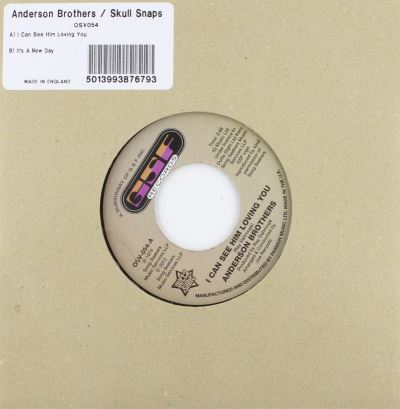 I can see him loving you/it s a new day/45 tours