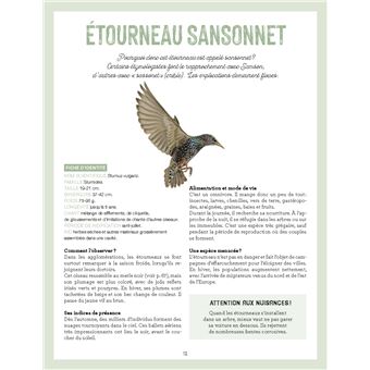 La nature s'invite en ville