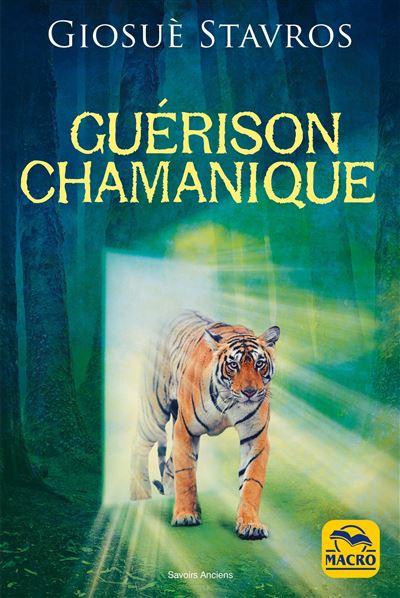 Guérison chamanique - Giosué Stavros - broché