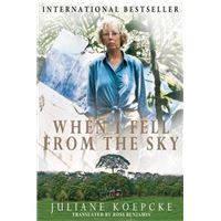 When I Fell From the Sky