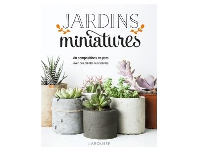 Jardins miniatures avec des plantes succulentes