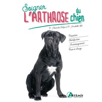 Soigner l'arthrose du chien
