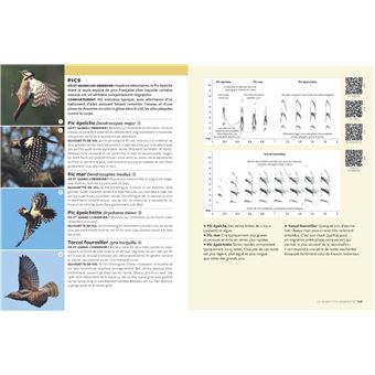 Identifier les oiseaux migrateurs par le son