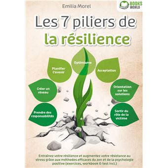 7 piliers de resilience