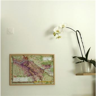 Carte en relief de l'Anjou Viticole et Historique